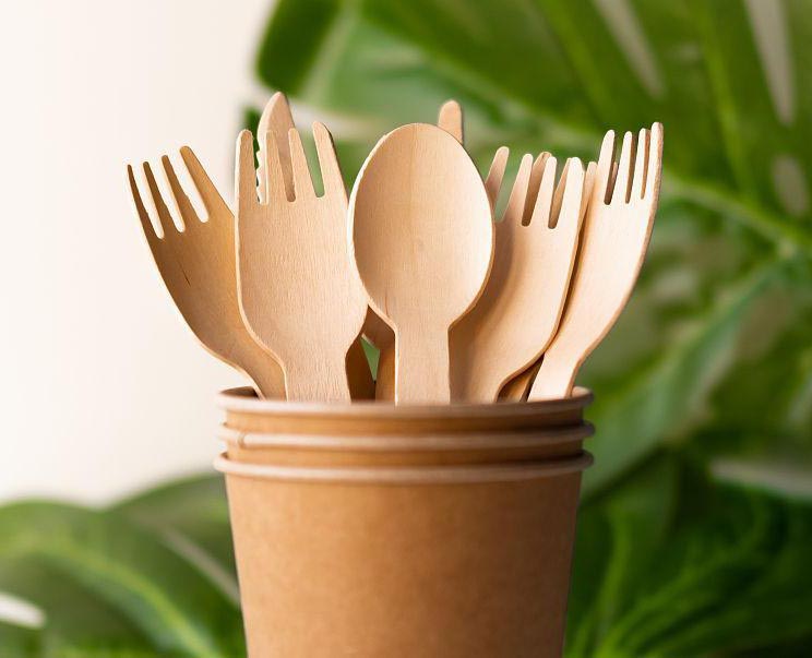 Disposable tableware